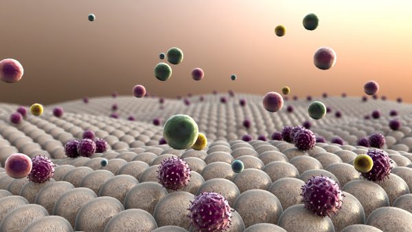 High quality 3d render of fat cells, cholesterol in a cells, cell structure, field of cells, Cell division, Microscopic image of cells, 3d rendering, Cells, Medical video background
